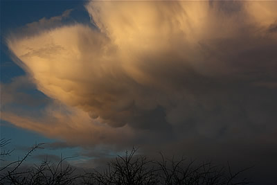 Storm Chasing Reports 2010